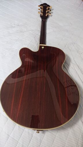 エレキギター ibanez AF95RW (ギグバッグ付き) エレキギター ibanez