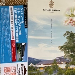 ガト-キングダム小海✨1泊2日ビュッフェ朝食付ペア宿泊券