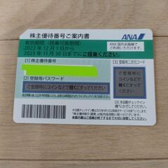 【ネット決済】ANA株主優待【2023年11月期限】