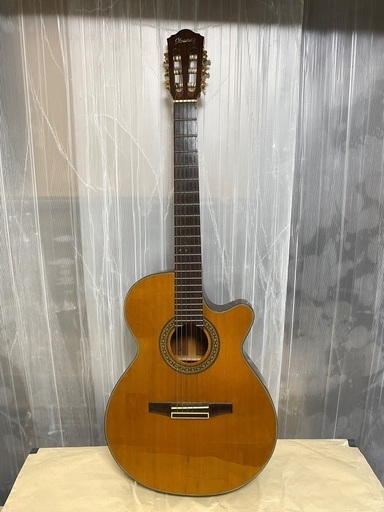 Artwood アートウッド 　ギター　AWG600ENLA　規格外2