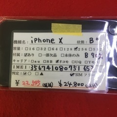 iPhone10 256GB