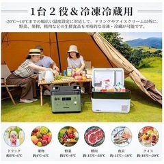 車載冷蔵庫 30L 大容量-20°C~10°C 温度調整可 車中泊 キャンプ アウトドア 釣り 運動会 レジャー
