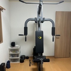 HOME GYM DX