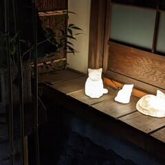 2023/11/23（木）-26（日）京町家と土佐和紙の灯展を開催します − 京都府