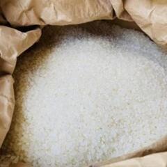 コシヒカリ 新米（令和5年産)30kg玄米