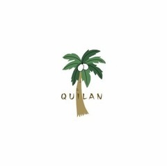 資格取得に強い！！英語教室QUILAN@豊見城