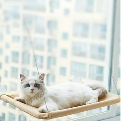 ① 猫ベッド(吊り下げ型)