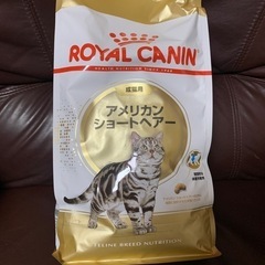 ロイヤルカナン アメリカンショートヘアー 2kg ROYAL C...