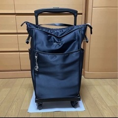 スワニー 座面椅子付きキャリーバッグ