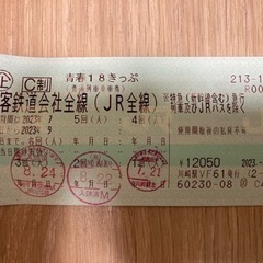 青春18きっぷ2回分2000円（川崎〜蒲田駅）