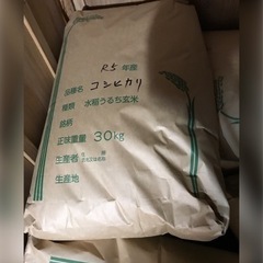 【値下げ】新米コシヒカリ　５年度茨城産　玄米３０kg