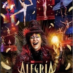 10月1日 アレグリア　シルク ド ソレイユ