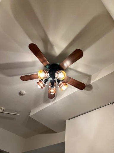 TALOYA シーリングファンライト調光 調色 12畳 LED TALOYA シーリングファンライト調光 調色 12畳 LED天井ファンライト 静音DC