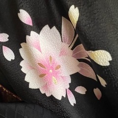 振り袖、帯のセット、黒地に桜
