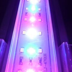 水槽 照明 led ライト  60cm
