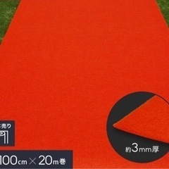 【ネット決済】レッドカーペット　赤じゅうたん