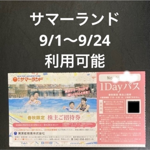 東京サマーランド 弱々しく 株主優待 4枚 即日発送 手渡し可能！