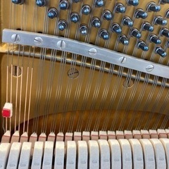 YAMAHA U2C リニューアル