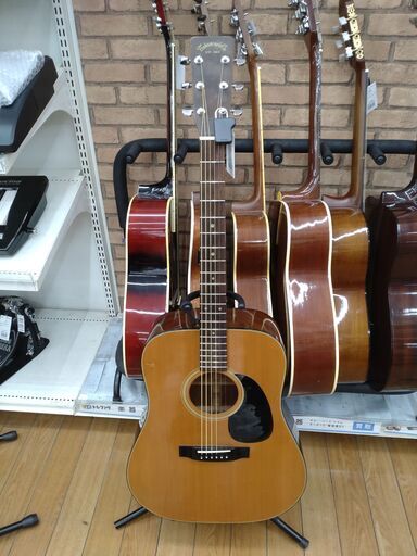 Takamine アコースティックギター G330