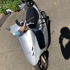 HONDA Dio ZX 50cc 原付 AF35自賠責4年付き！