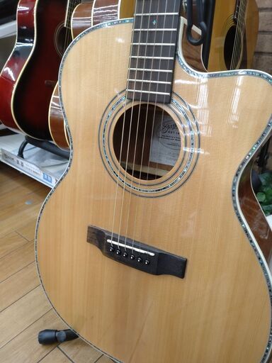 状態良‼︎Seagull シーガル カナディアンギター ケース付き シーガル