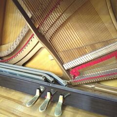 期間限定 / 在庫一掃 / 未整備現状渡し】ディアパソン DIAPASON 132SW