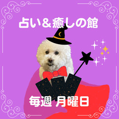 【♡9月25日（月）開催♡】小さな占い＆癒しの館🔮～三ノ宮～