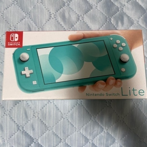 switch light！値下げ交渉可能！(受け渡し者決定)
