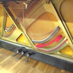 ヤマハ UX10A【期間限定 / 在庫一掃 / 未整備現状渡し】 YAMAHA