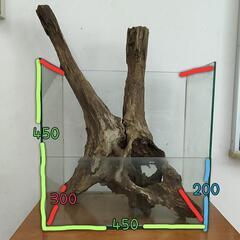 【水槽関連】流木＆水槽セット