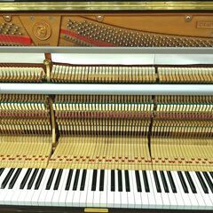 ディアパソン 132BD【高級機種】内部調整/外装研磨済 DIAPASON