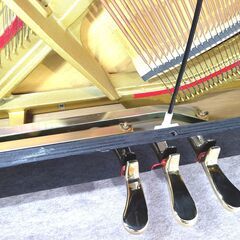 ディアパソン D-40BC【美品/コンディション良好】内部再生/研磨美装/調律済