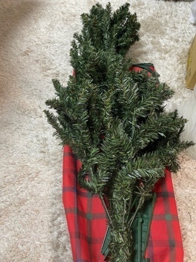 クリスマスツリーとライト① 決まりました