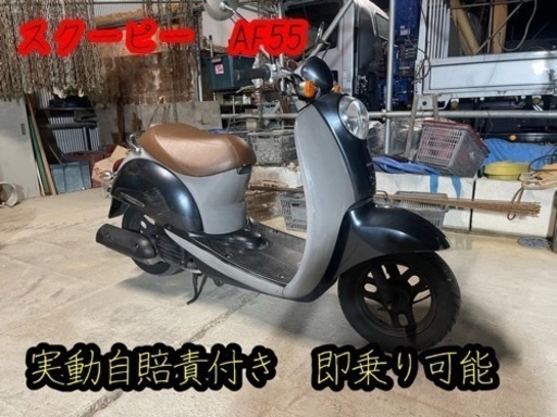 スクーピー　AF55 新型インジェクション　自賠責付き