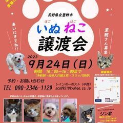 保護犬・保護猫譲渡会