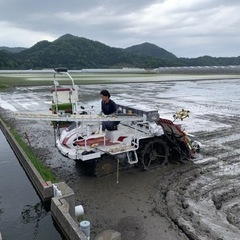 滋賀県産　ミルキークイーン