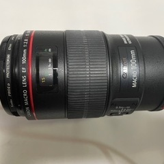 Canon EF 100mm f2.8L MACRO IS USM