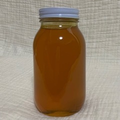ハチミツ / 日本ミツバチ（1.2kg） / はちみつ 蜂蜜