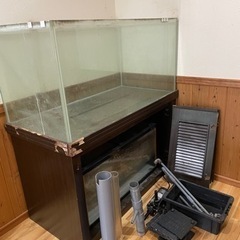 【ネット決済】強化ガラス水槽