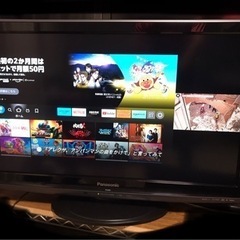 Panasonic  VIERA  2画面視聴
