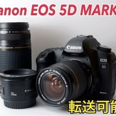 ★Canon EOS 5D MARKⅡ★S数約450回●トリプル...