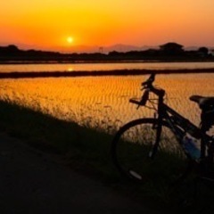 おおさか✨サイクリング