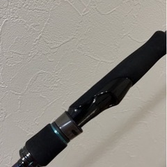 ダイワ 21エメラルダス MX 86ML-S・N