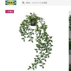 IKEA イケア 観葉植物 FEJKA フェイカ 12個