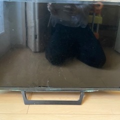 テレビ　差し上げます