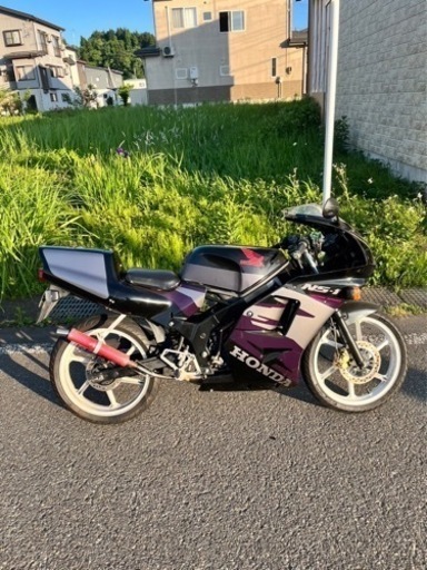 その他 NS-1