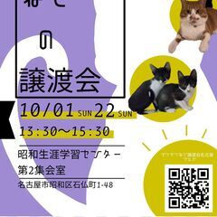 10/1(日)　猫の譲渡会　in　名古屋市昭和生涯学習センター