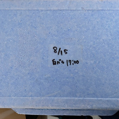 発泡スチロール クーラーボックス 1箱100円