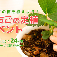 【食育・農業体験】いちごの定植イベント