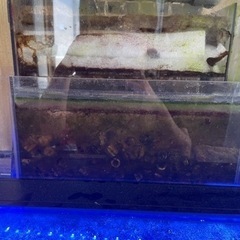 120㎝オリジナリ上部濾過とレイシーたて形ポンプP425セット